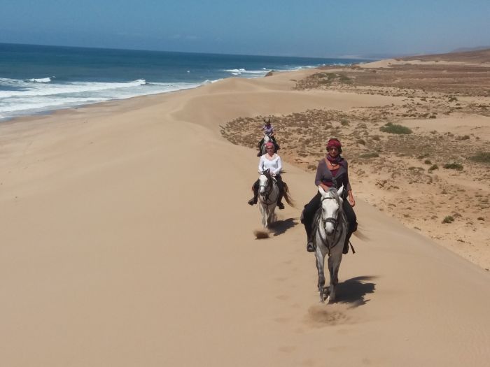 Des plages de rêve le long de l'océan Atlantique