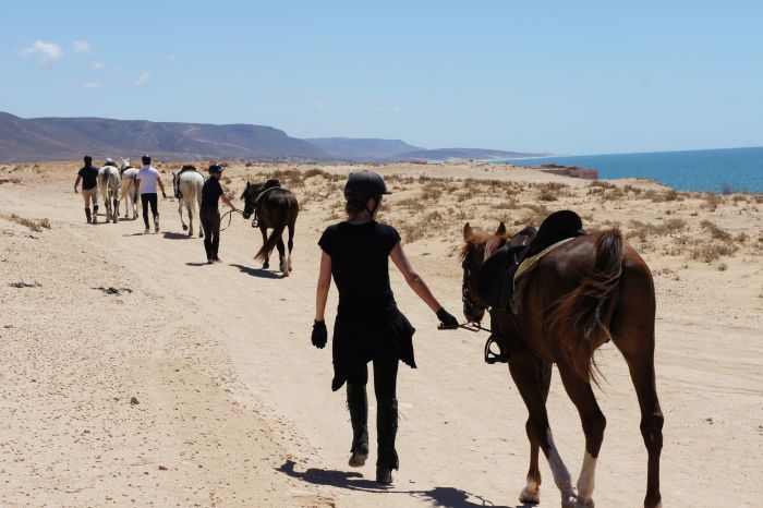Des plages de rêve le long de l'océan Atlantique