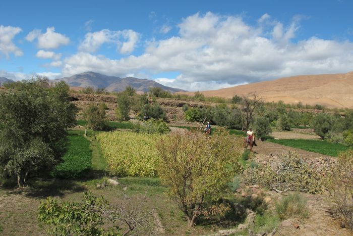 La Vallée des Roses