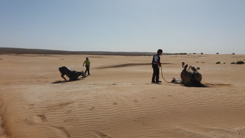 La magie de l'anti atlas et de l'Atlantique