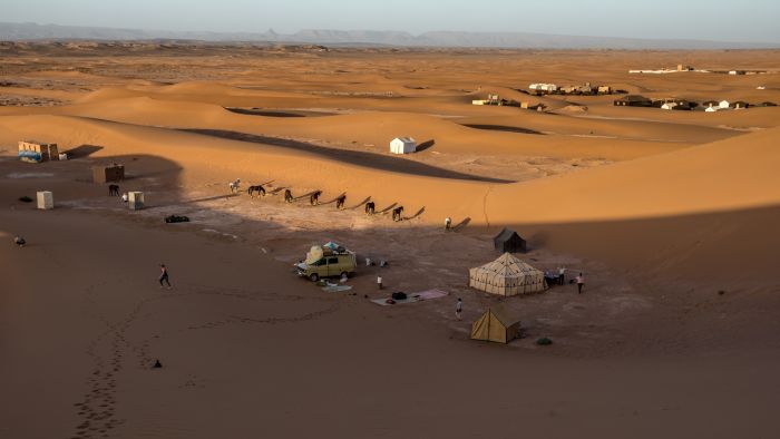Promenade entre dunes et oasis