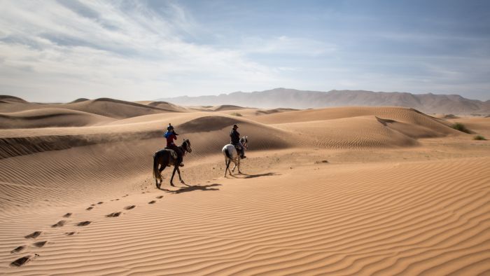 Promenade entre dunes et oasis