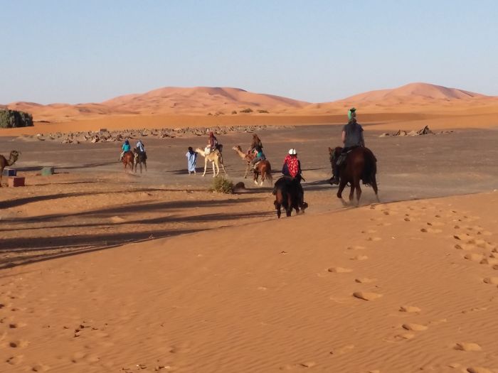Promenade entre dunes et oasis
