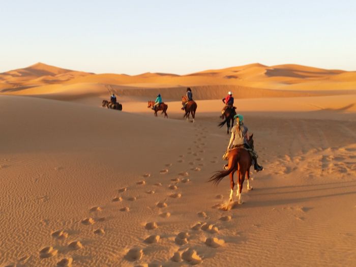Promenade entre dunes et oasis