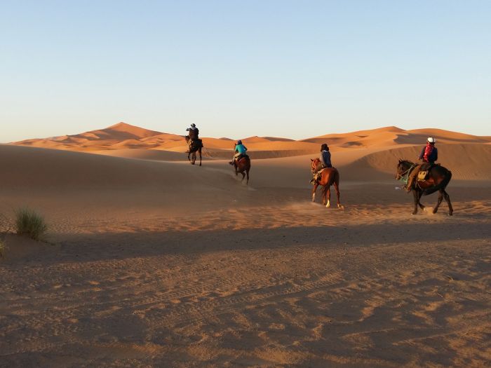 Promenade entre dunes et oasis