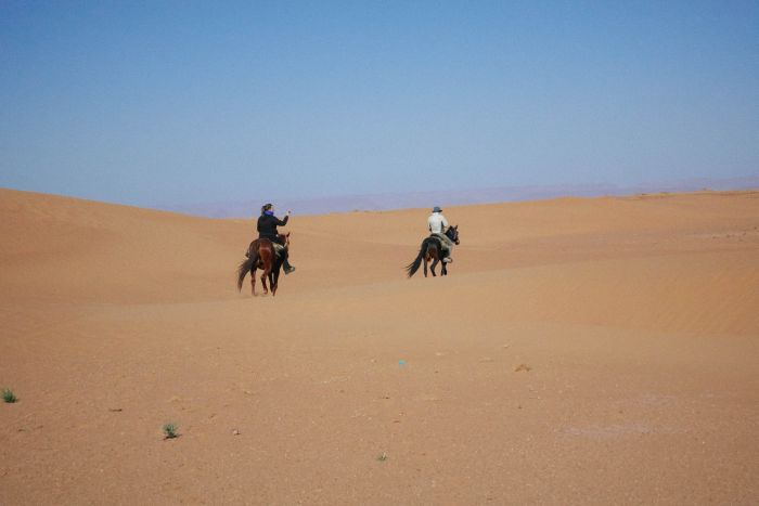 Promenade entre dunes et oasis