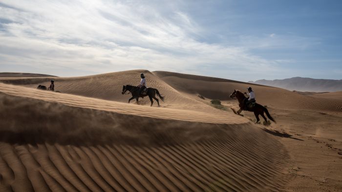 Promenade entre dunes et oasis