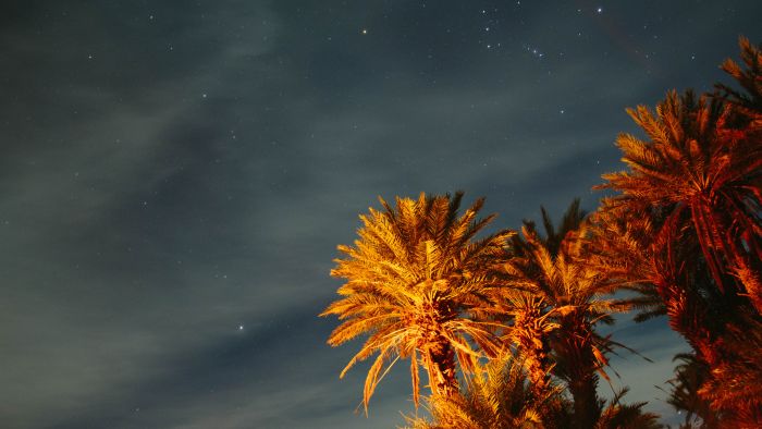 Promenade entre dunes et oasis