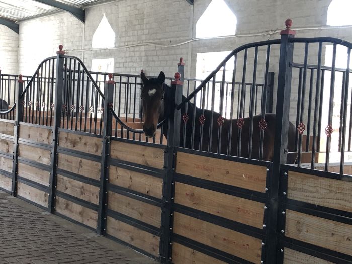 Lodge d'aventure dans les hauts plateaux du Khomas