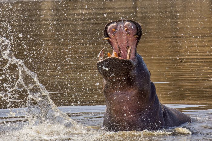 Lodge d'aventure dans les hauts plateaux du Khomas