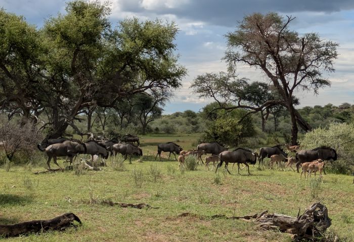 Lodge d'aventure dans les hauts plateaux du Khomas