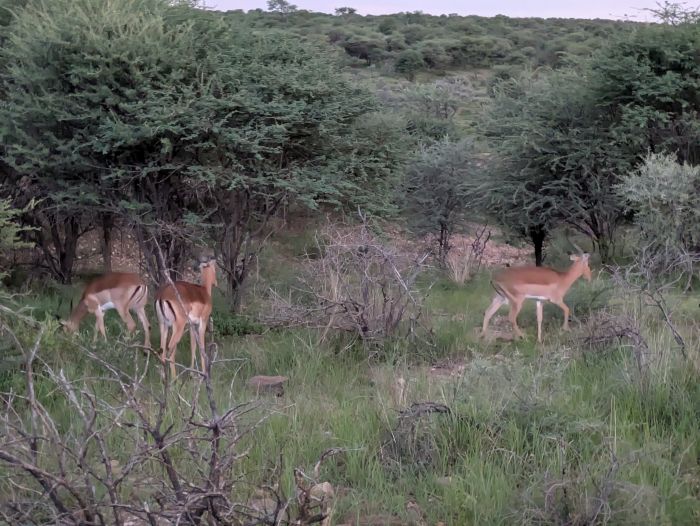 Lodge d'aventure dans les hauts plateaux du Khomas