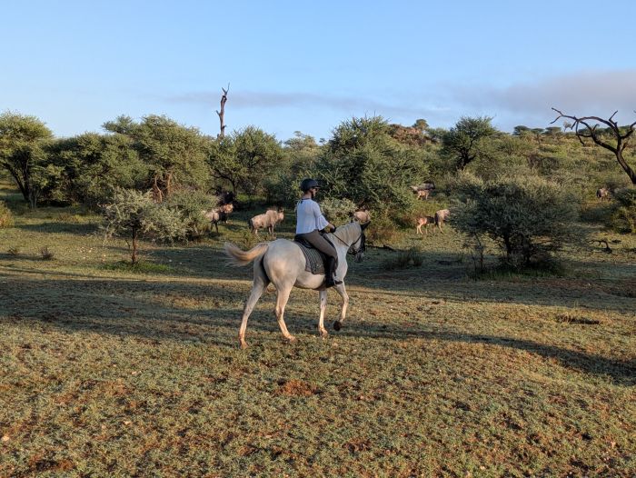 Lodge d'aventure dans les hauts plateaux du Khomas