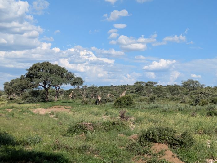 Lodge d'aventure dans les hauts plateaux du Khomas