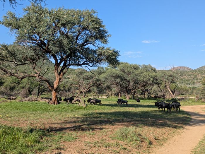 Lodge d'aventure dans les hauts plateaux du Khomas