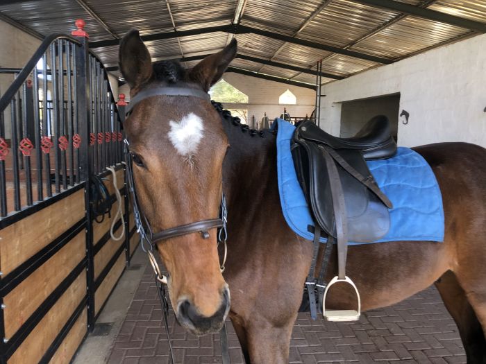 Lodge d'aventure dans les hauts plateaux du Khomas