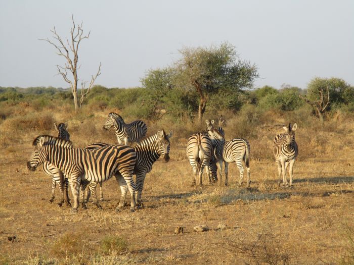 Lodge d'aventure dans les hauts plateaux du Khomas