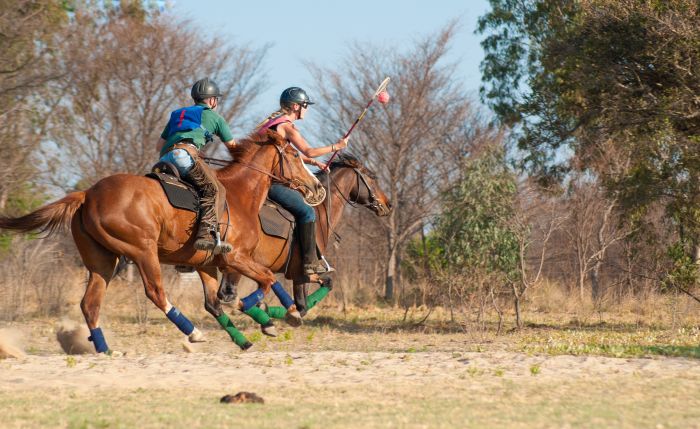 Afrique du Sud Safari Lodge &agrave; Lodge