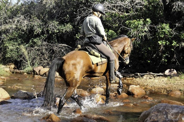 Afrique du Sud Safari Lodge &agrave; Lodge
