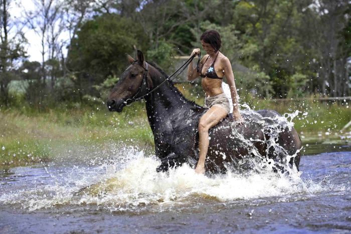 Afrique du Sud Safari Lodge &agrave; Lodge