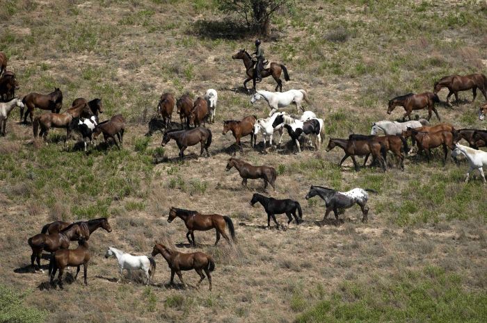 Afrique du Sud Safari Lodge &agrave; Lodge