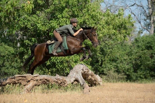 Afrique du Sud Safari Lodge &agrave; Lodge