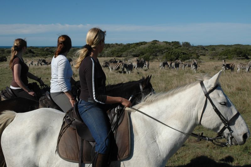 Limpopo Fleuve au bord D'Afrique du Sud et Botswana