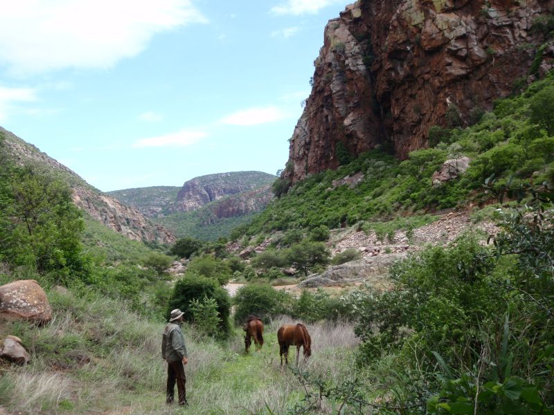 Limpopo Fleuve au bord D'Afrique du Sud et Botswana