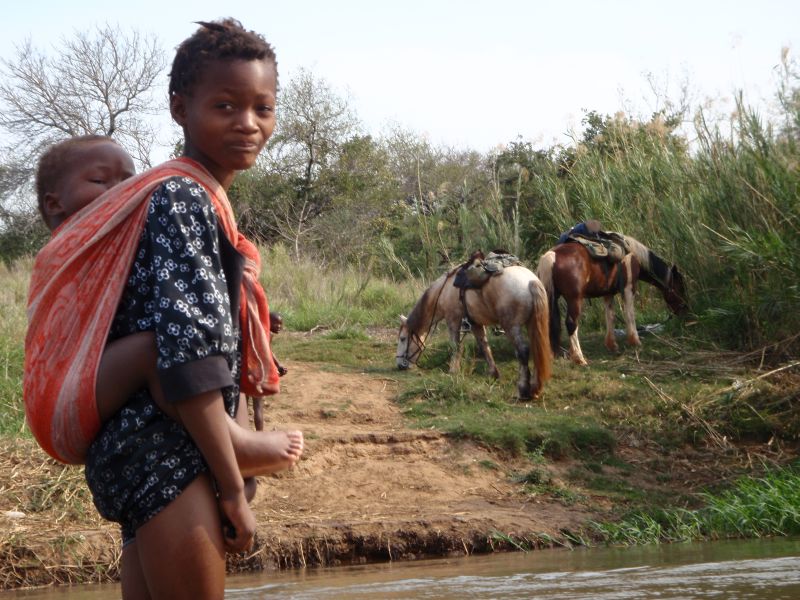Limpopo Fleuve au bord D'Afrique du Sud et Botswana