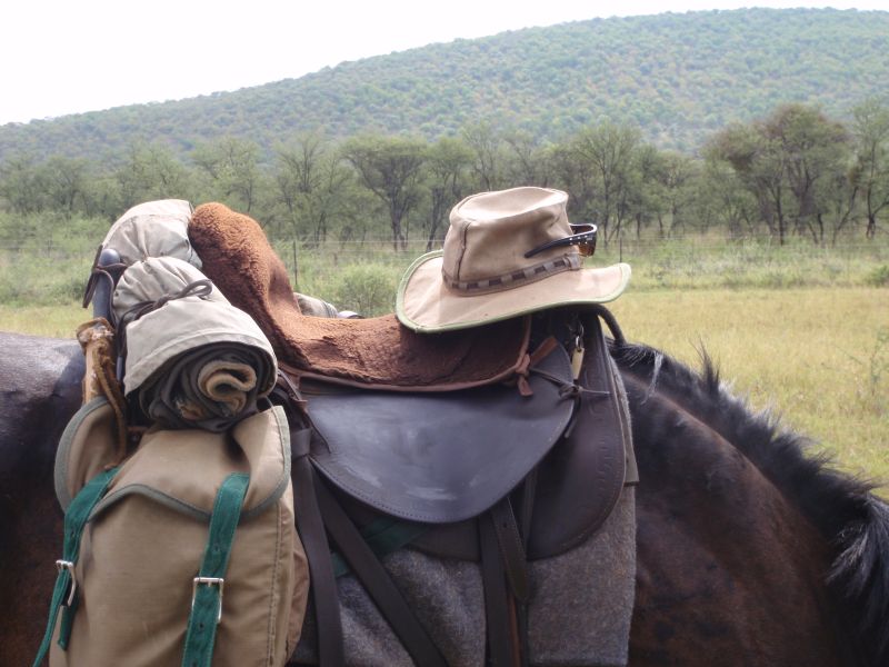 Limpopo Fleuve au bord D'Afrique du Sud et Botswana