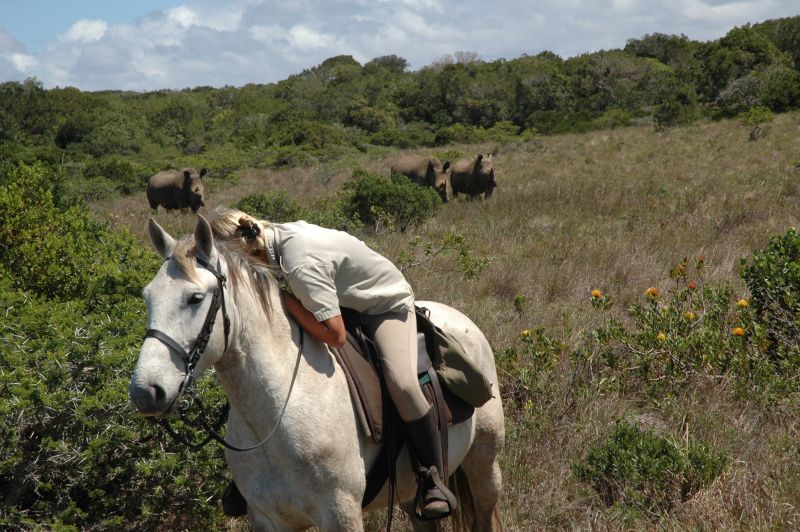 Limpopo Fleuve au bord D'Afrique du Sud et Botswana