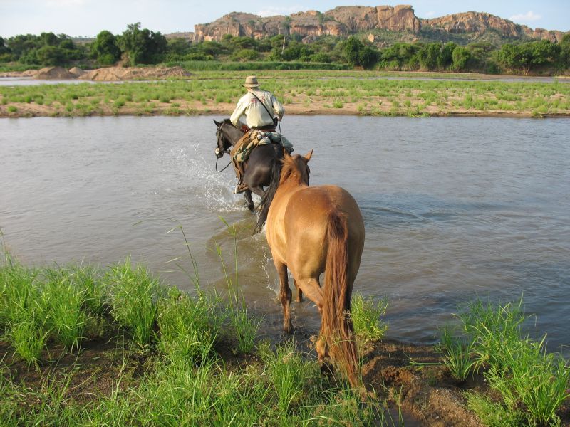 Limpopo Fleuve au bord D'Afrique du Sud et Botswana
