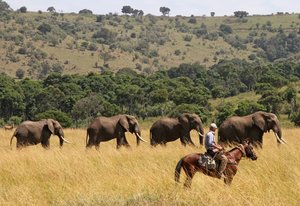 Randonnée safari Laikipia