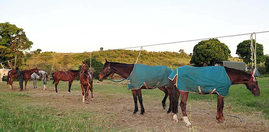 Randonnée safari Laikipia