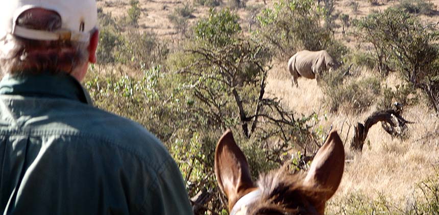 Randonnée safari Laikipia