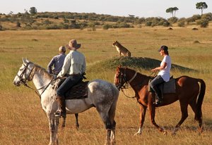 Randonnée safari Laikipia