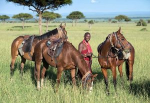 Randonnée safari Laikipia