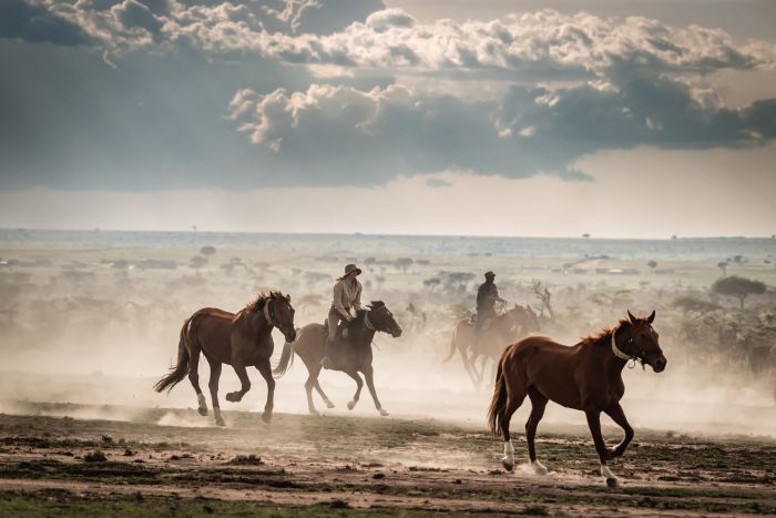 Randonn&eacute;e safari Laikipia