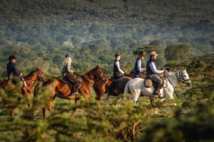 Randonn&eacute;e safari Laikipia