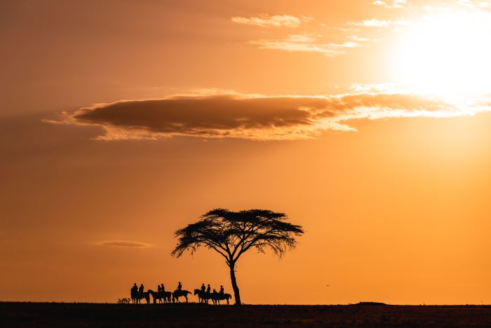 Randonn&eacute;e safari Laikipia