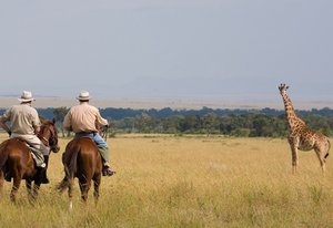 Randonnée safari Laikipia