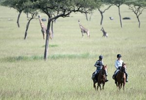 Randonnée safari Laikipia