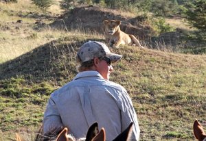 Randonnée safari Laikipia