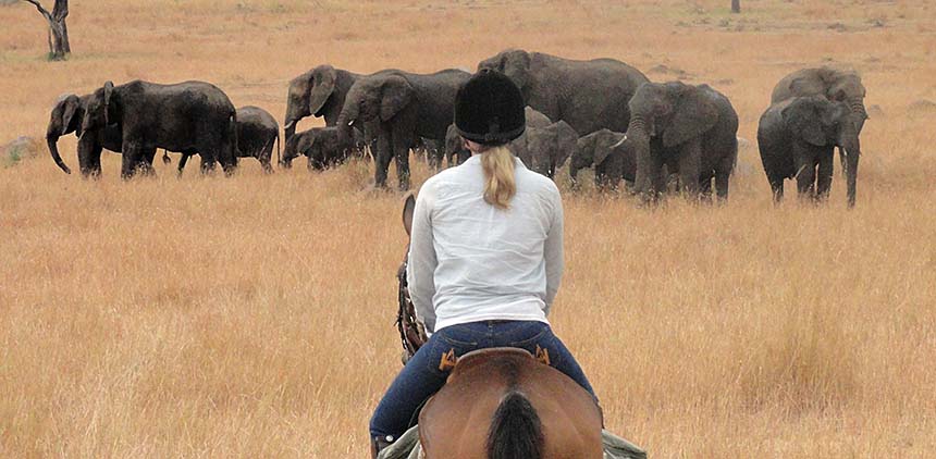 Randonnée safari Laikipia