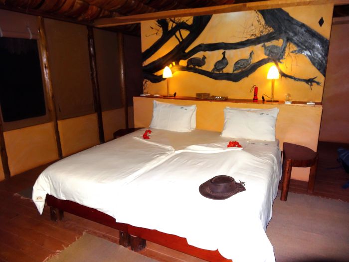 Safari au gros gibier de Meru-Kilimanjaro Accomodation