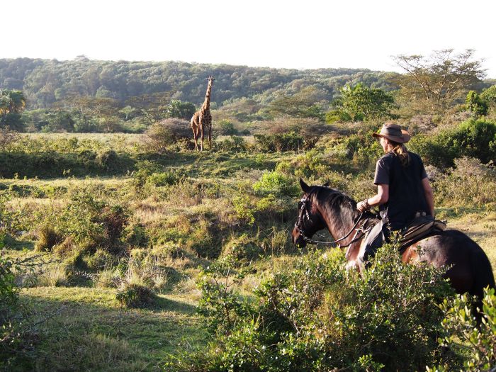 Safari au gros gibier de Meru-Kilimanjaro
