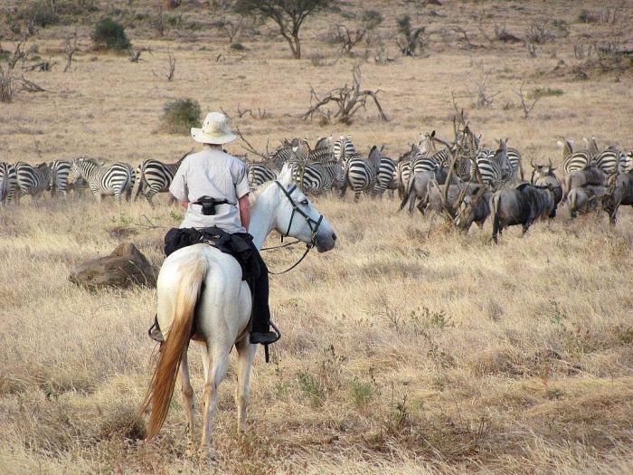 Safari au gros gibier de Meru-Kilimanjaro