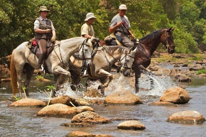 Safari au gros gibier de Meru-Kilimanjaro