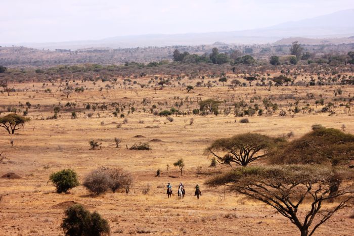 Safari au gros gibier de Meru-Kilimanjaro