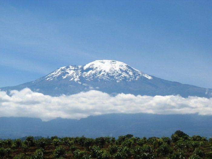 Safari au gros gibier de Meru-Kilimanjaro